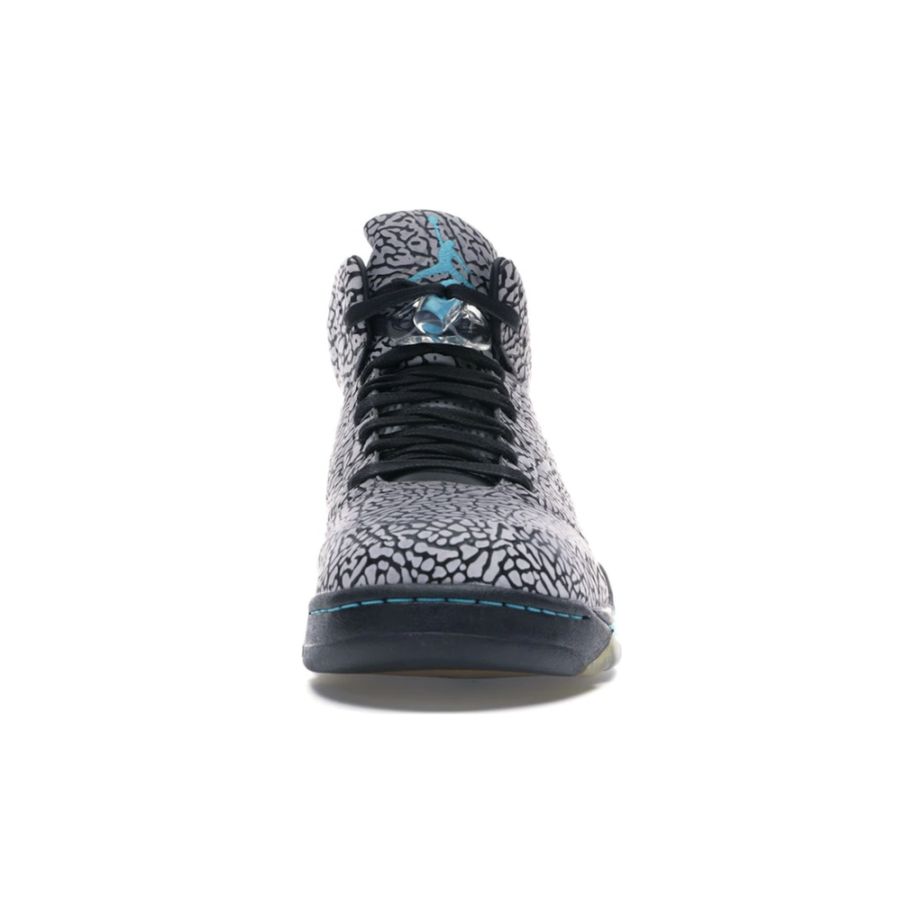 jordan_5_retro_3_lab_5_3