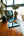 Best Bargains - Home